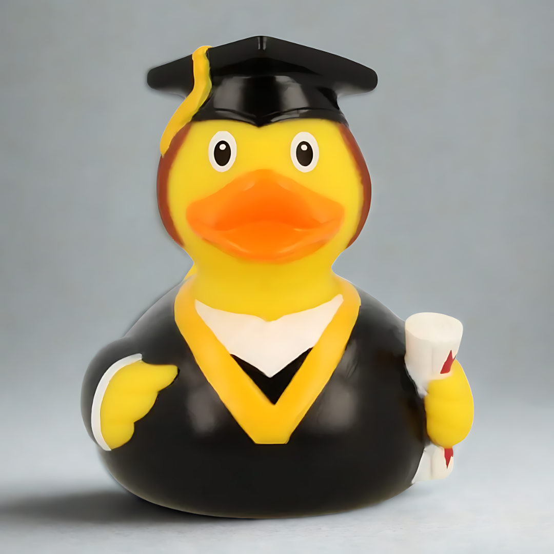 Bachelor Duck