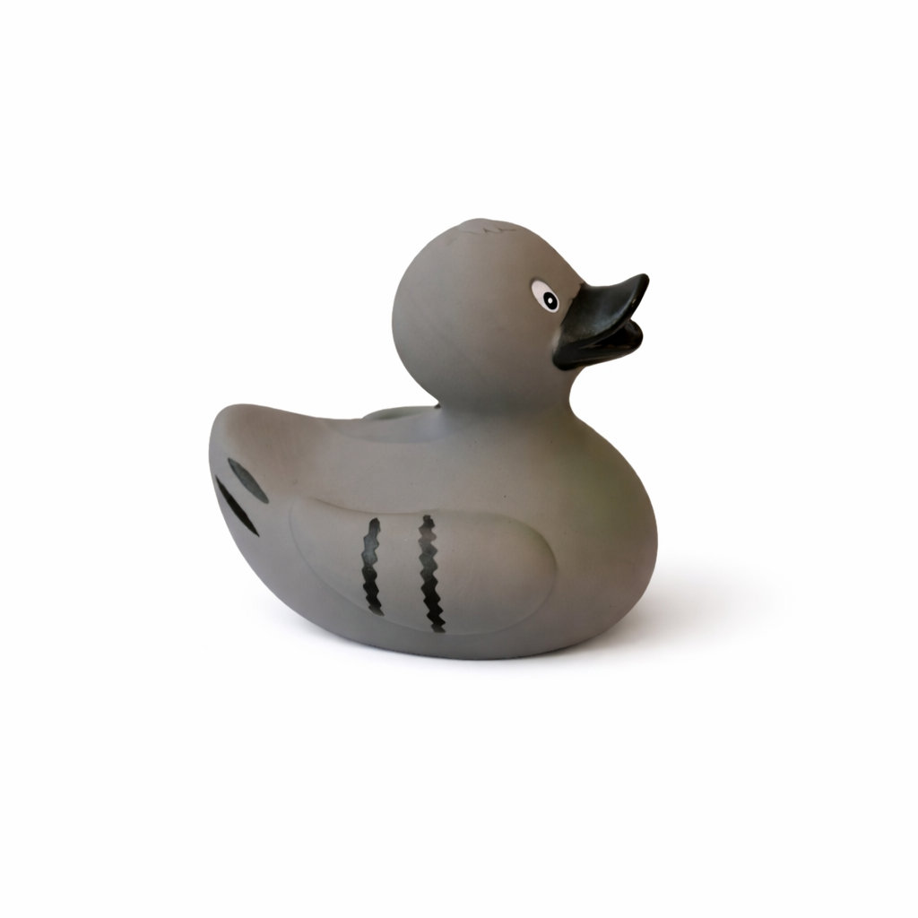 Pigeon Duck