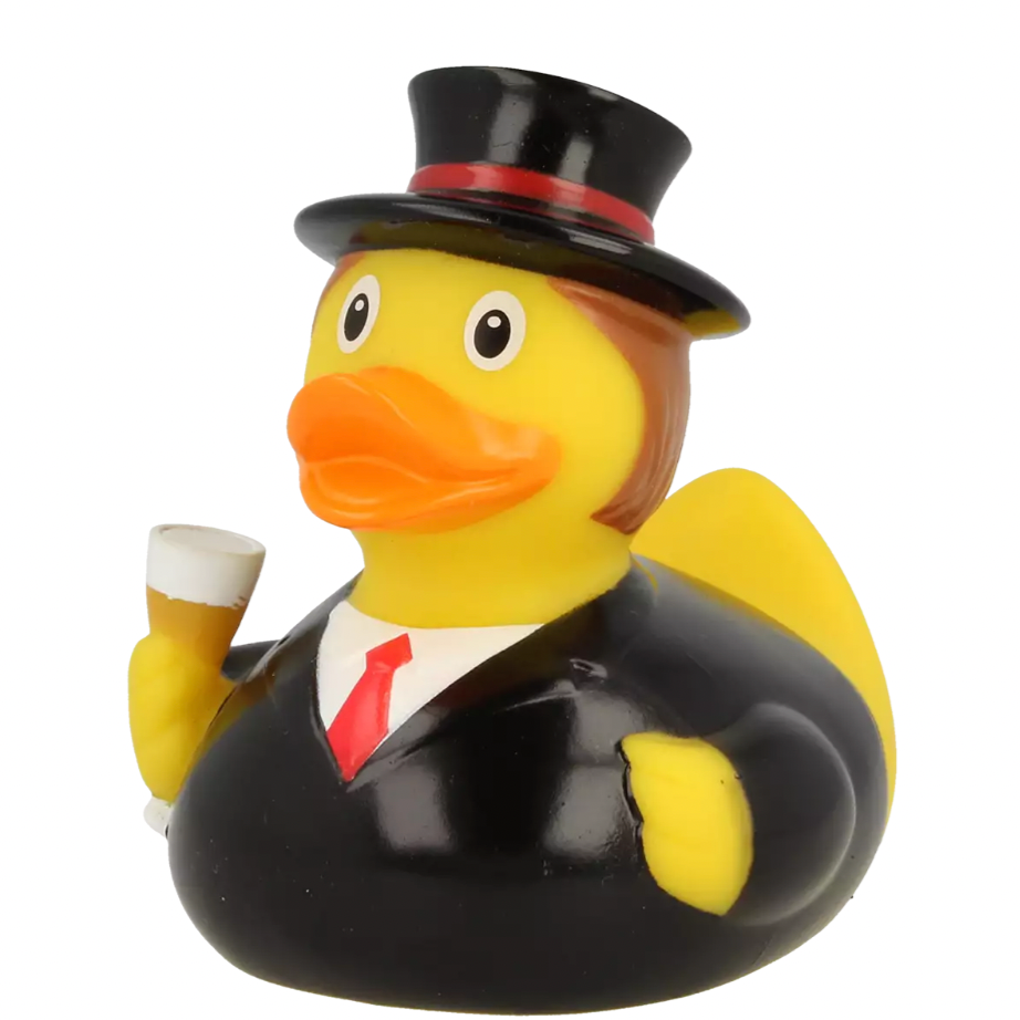 Groom Duck