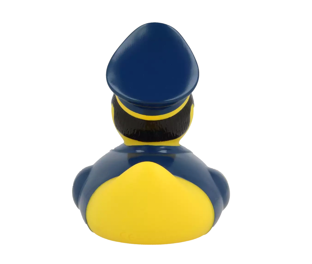Pilot Duck