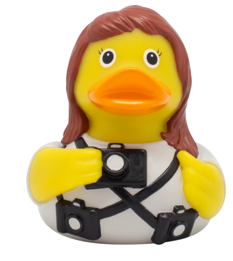 Photographer Duck, Female