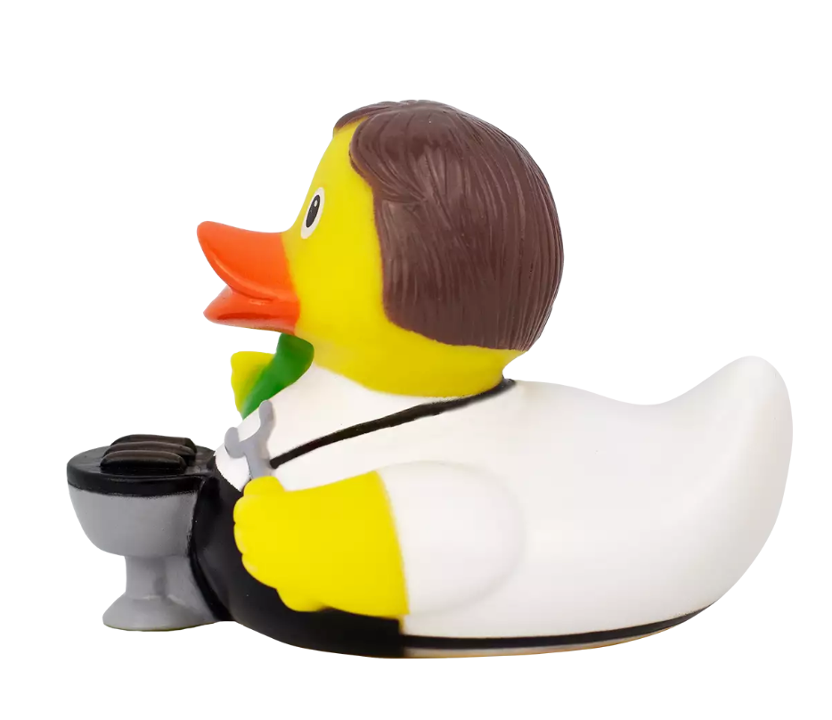 BBQ Duck