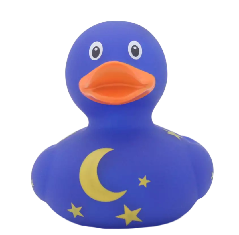Duck with Moon and Stars