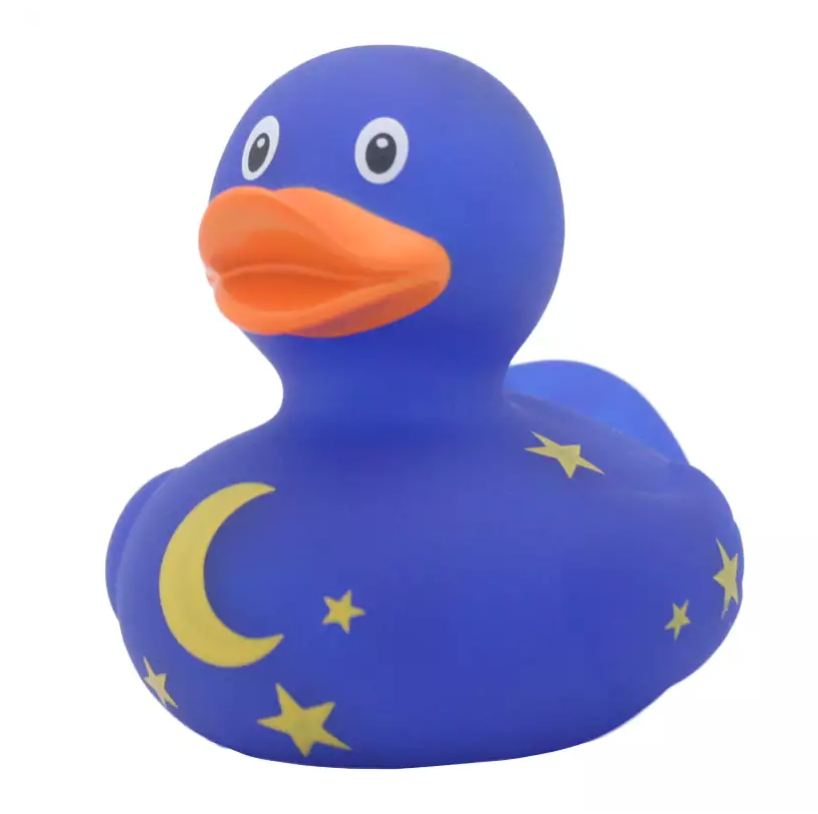 Duck with Moon and Stars