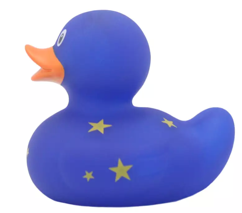 Duck with Moon and Stars