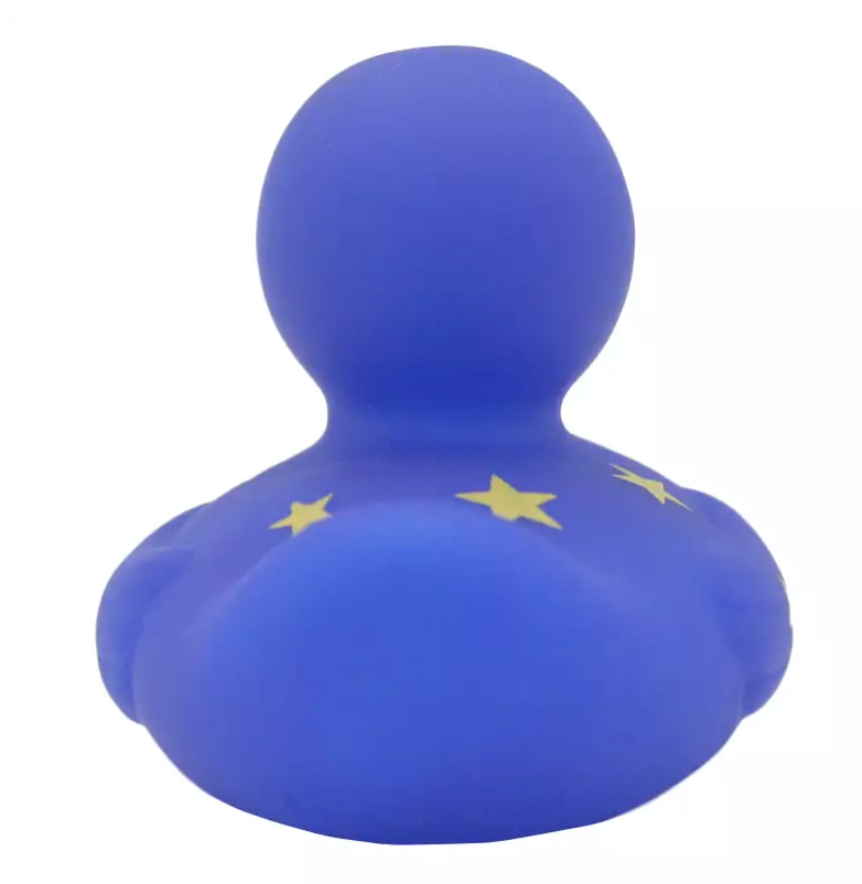 Duck with Moon and Stars