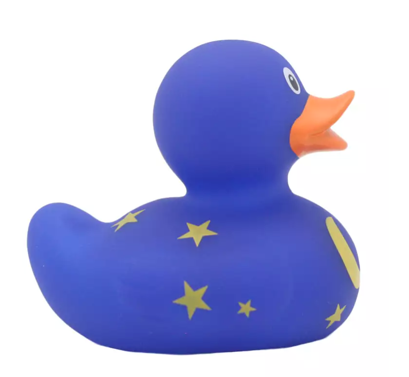 Duck with Moon and Stars