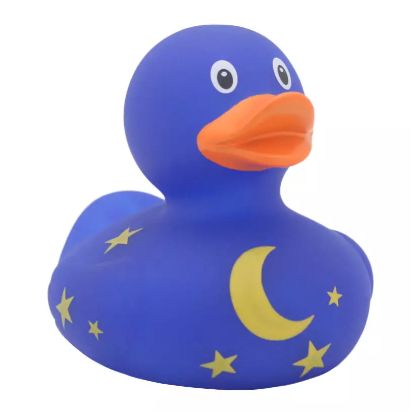 Duck with Moon and Stars