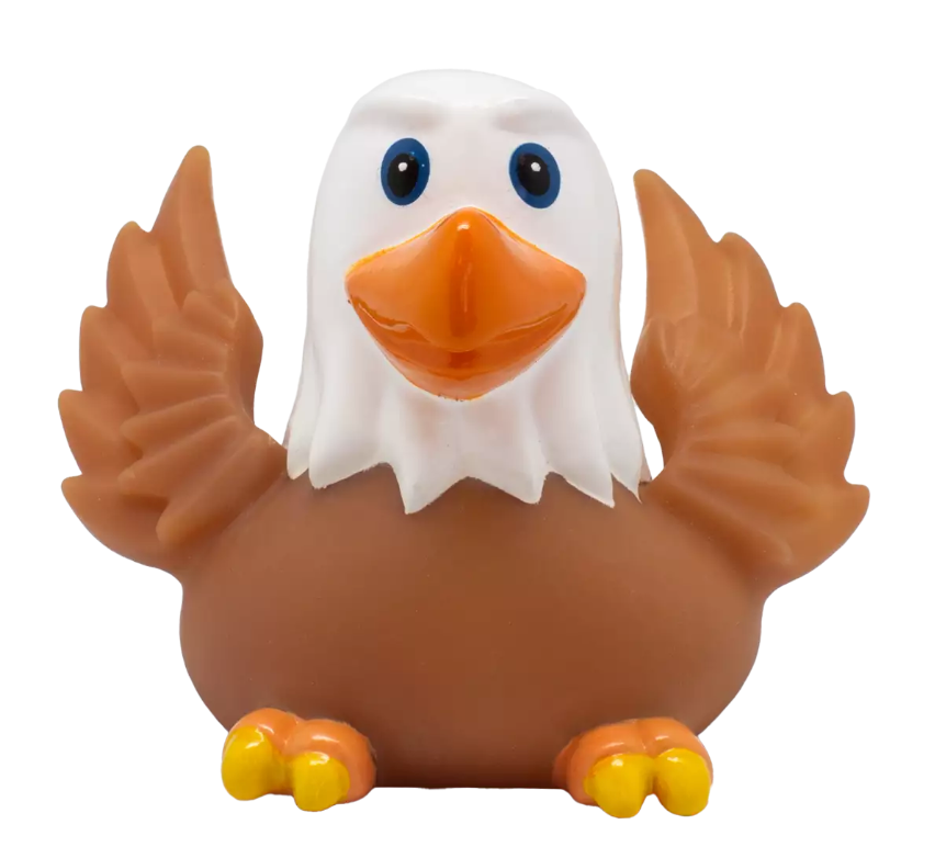 Eagle Duck