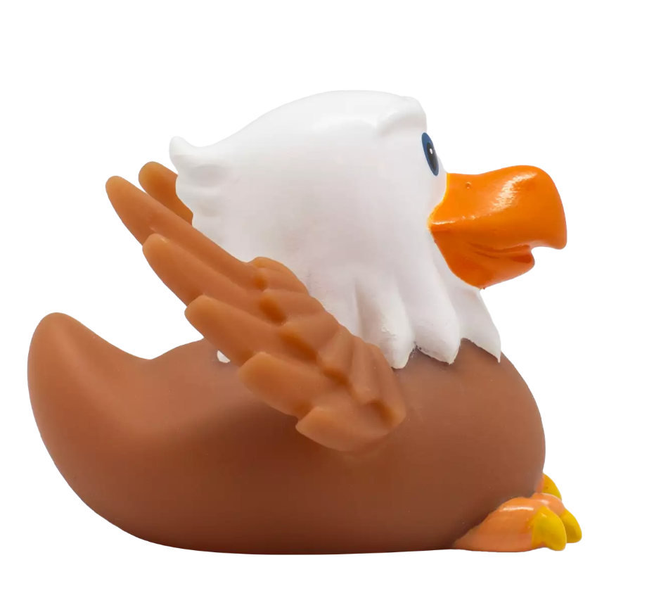 Eagle Duck
