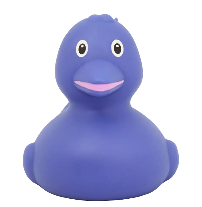 Dolphin Duck