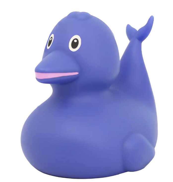 Dolphin Duck