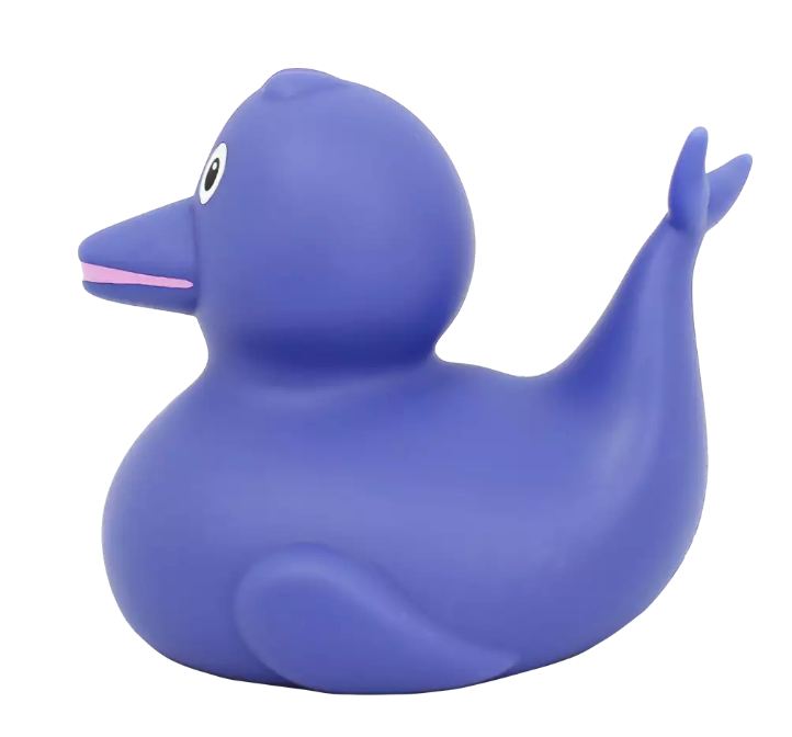 Dolphin Duck