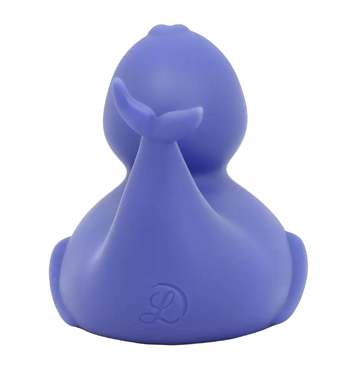 Dolphin Duck