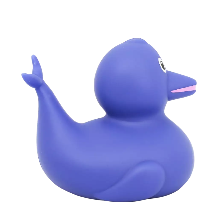 Dolphin Duck