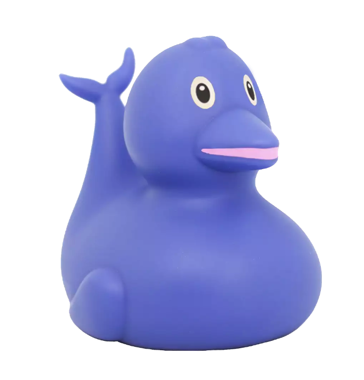 Dolphin Duck