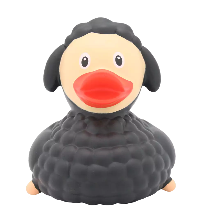 Black Sheep Duck