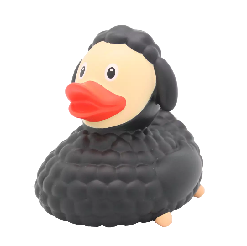 Black Sheep Duck