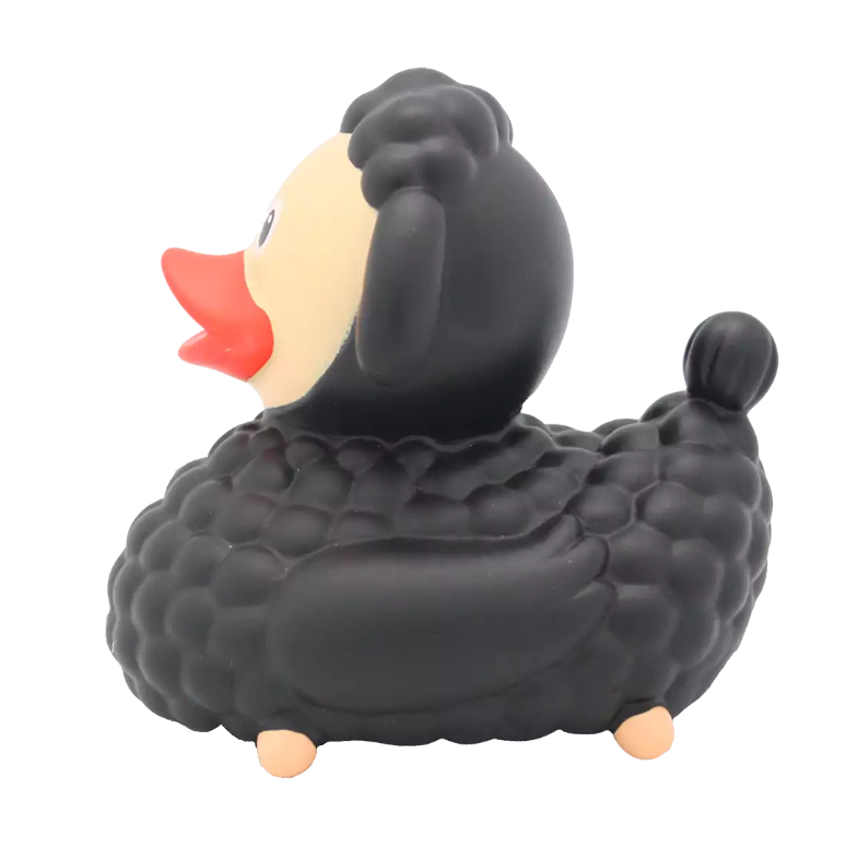 Black Sheep Duck