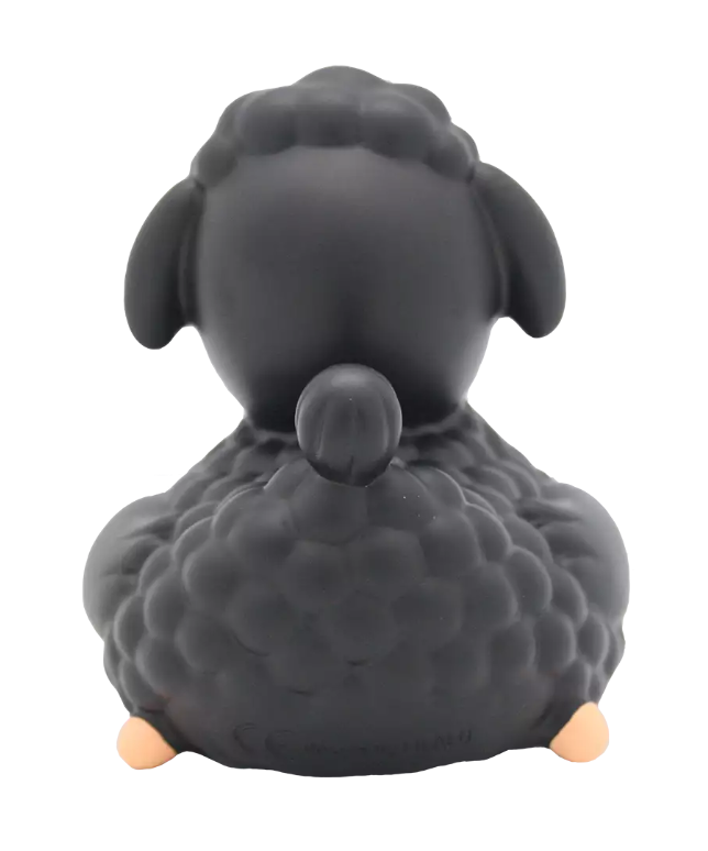 Black Sheep Duck