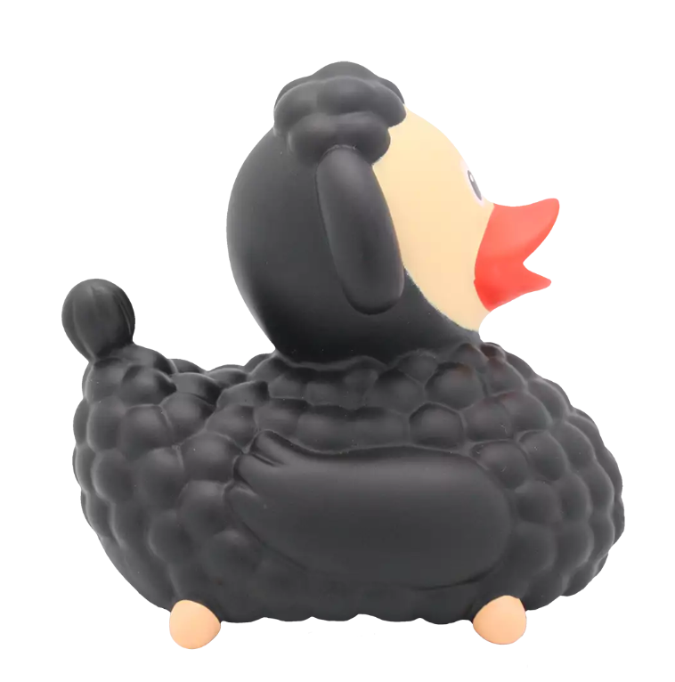 Black Sheep Duck