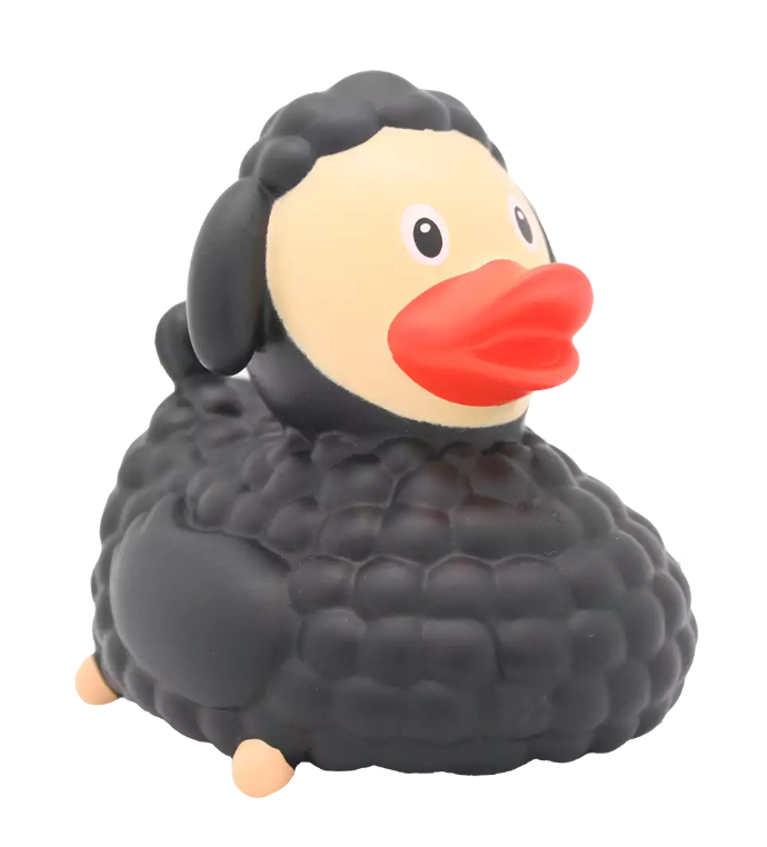 Black Sheep Duck
