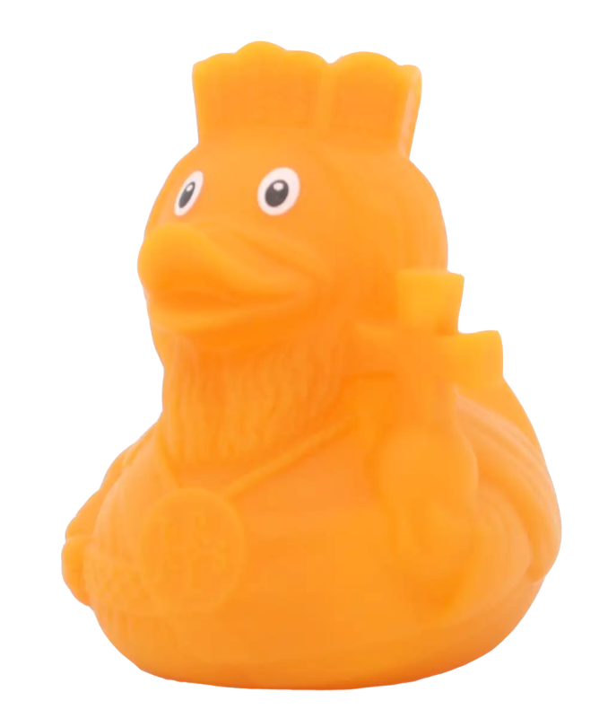 King Carlo Duck