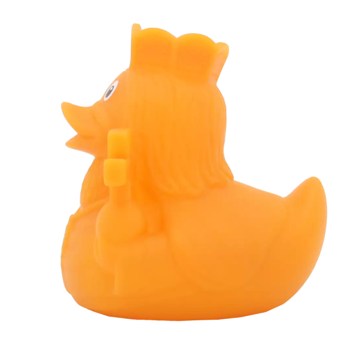 King Carlo Duck