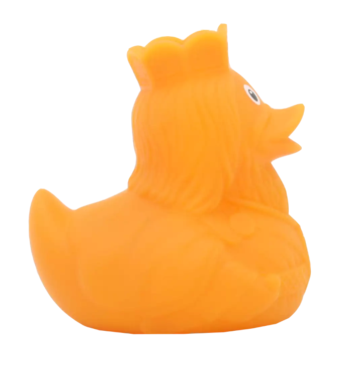 King Carlo Duck