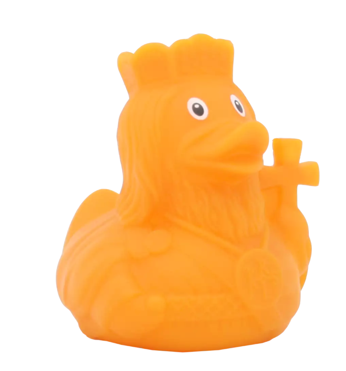 King Carlo Duck