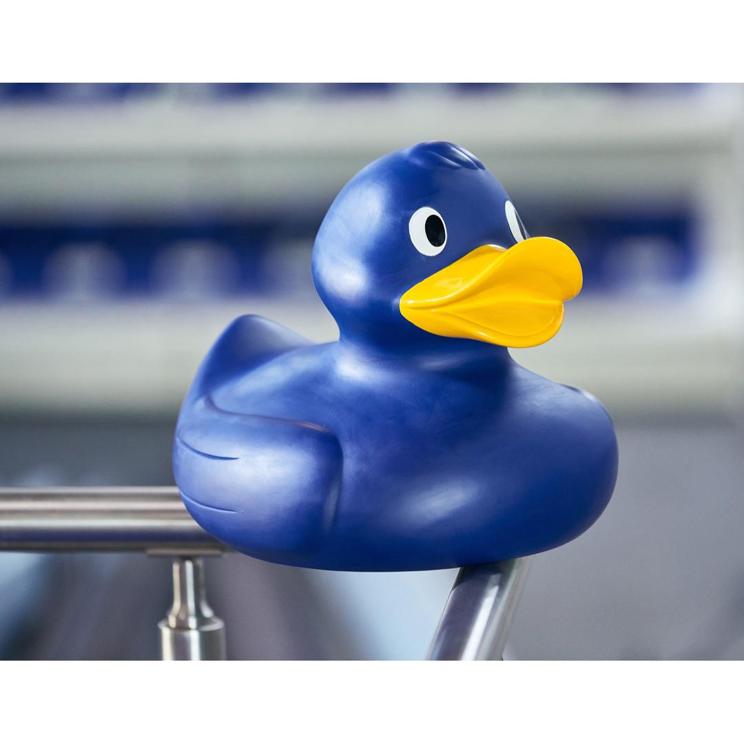 Giant Rubber Duck - Blue