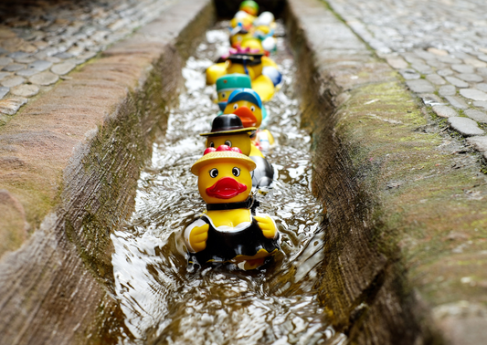 Quacktastic Fun: The Thrilling World of Rubber Duck Racing