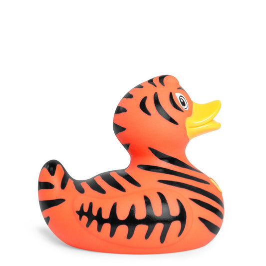 Wild Tiger Duck