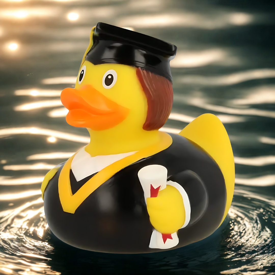 Bachelor Duck