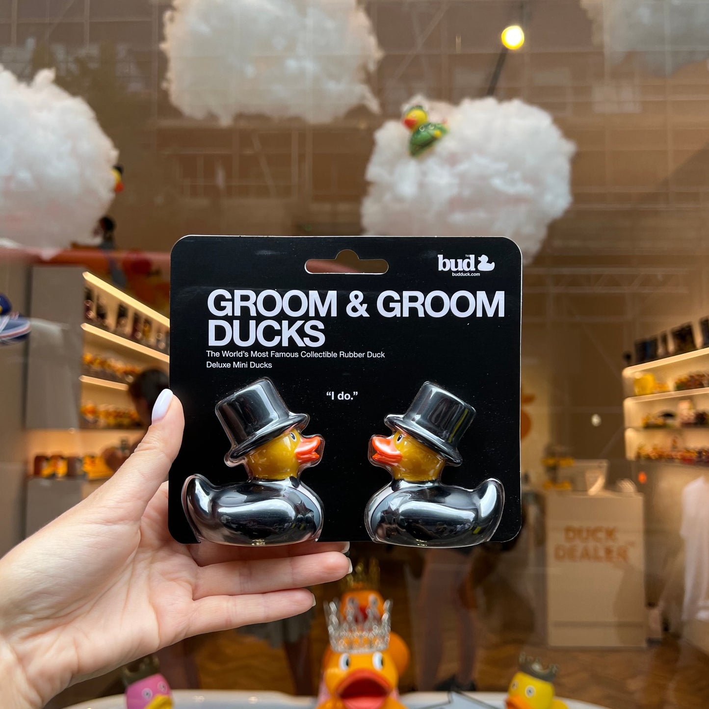 Mini Groom and Groom Ducks