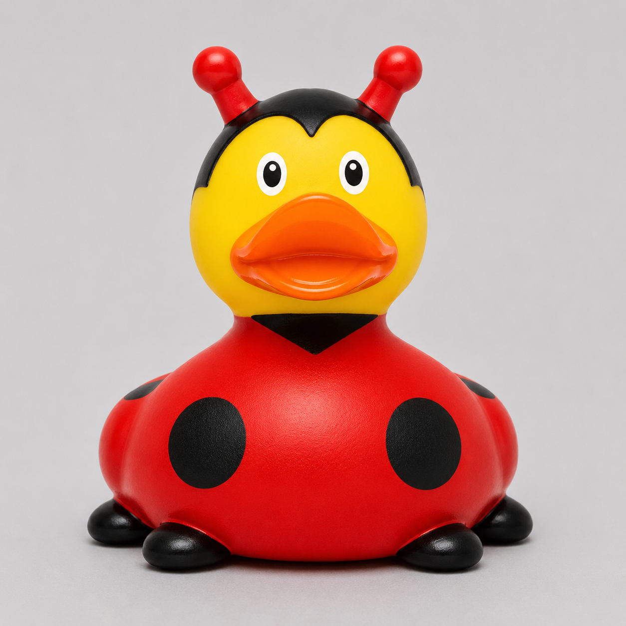Ladybug Duck