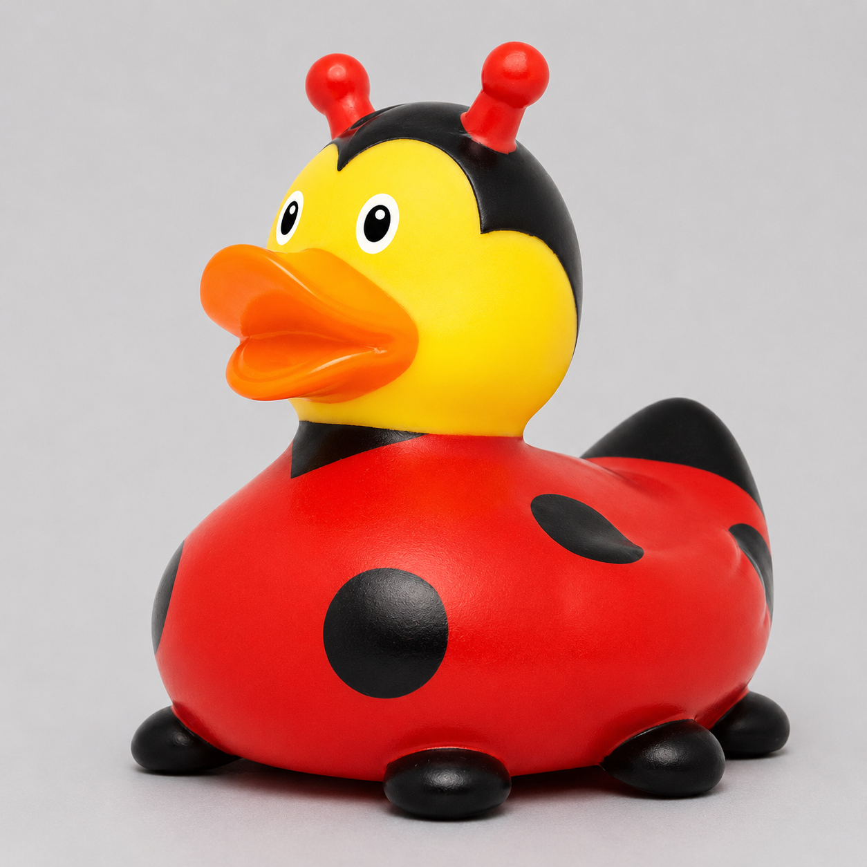 Ladybug Duck