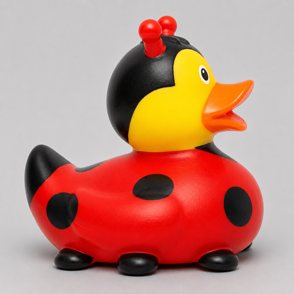 Ladybug Duck