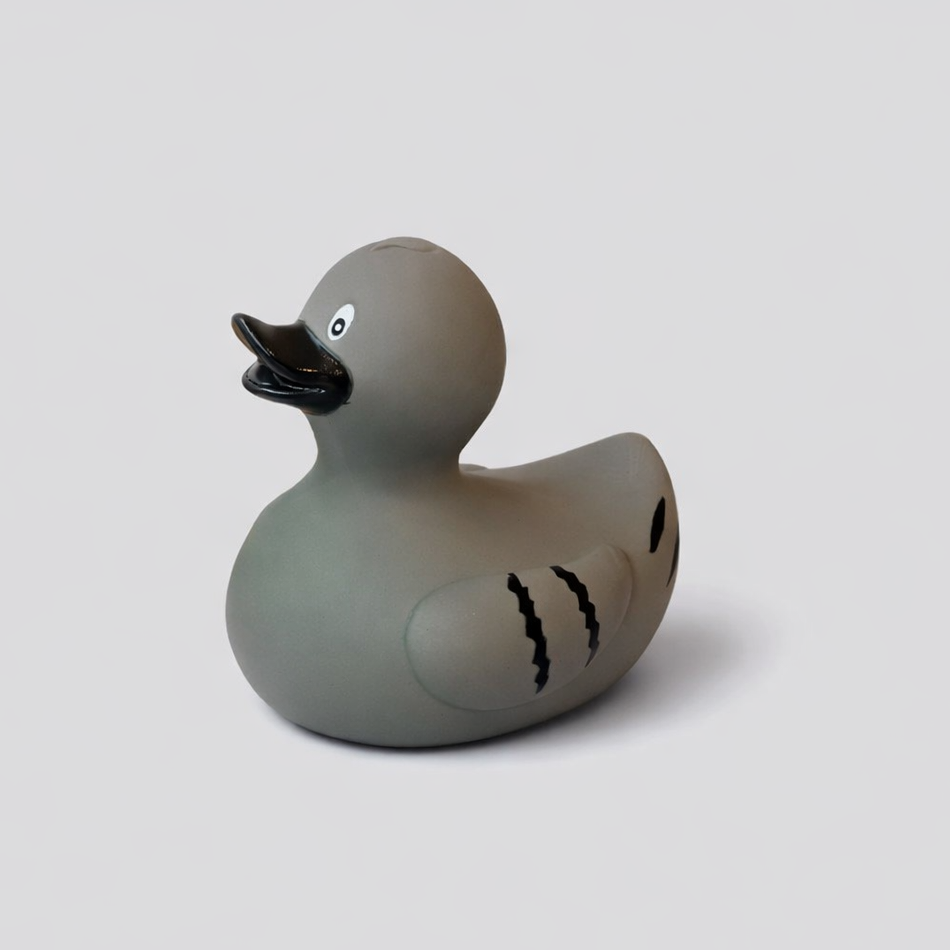 Pigeon Duck