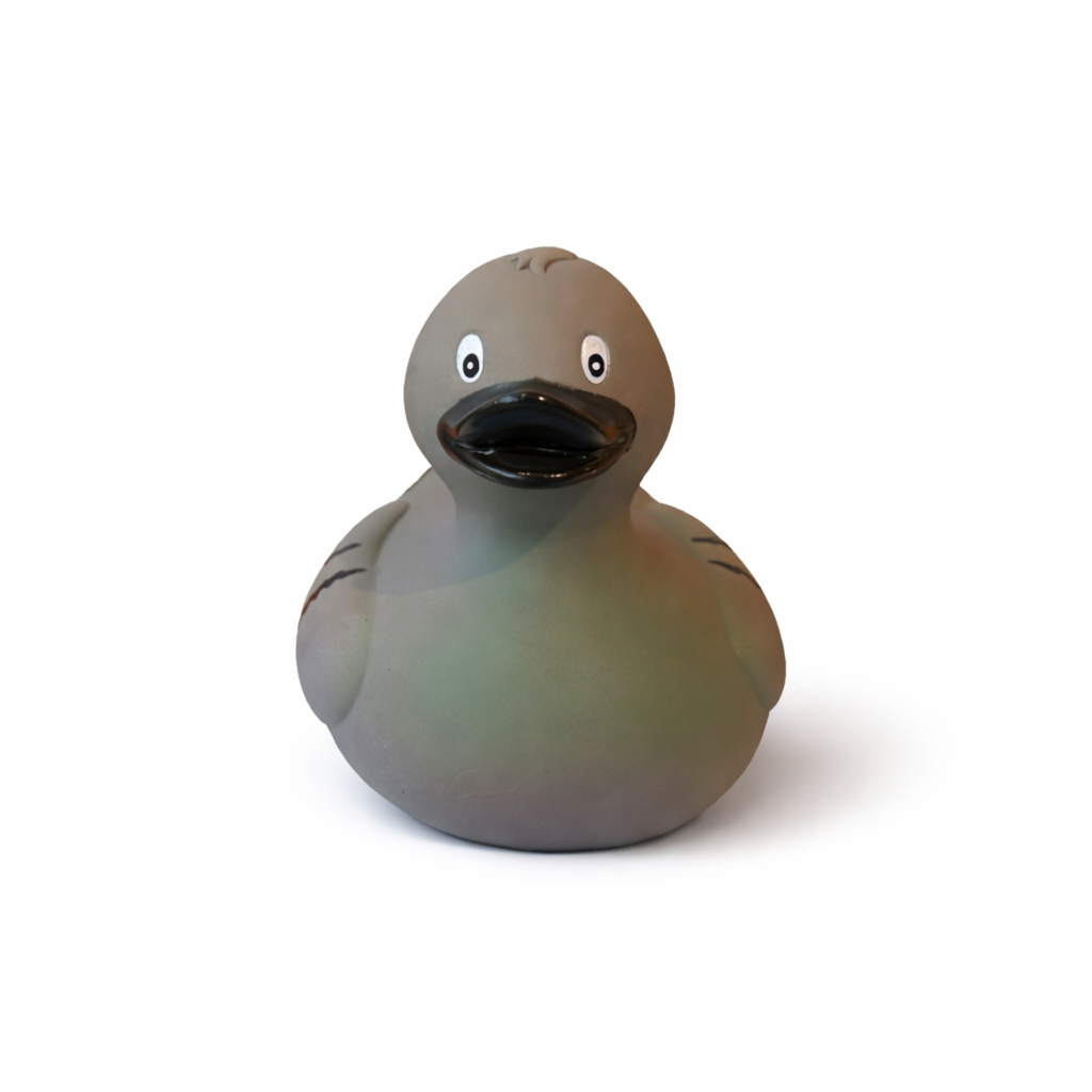 Pigeon Duck