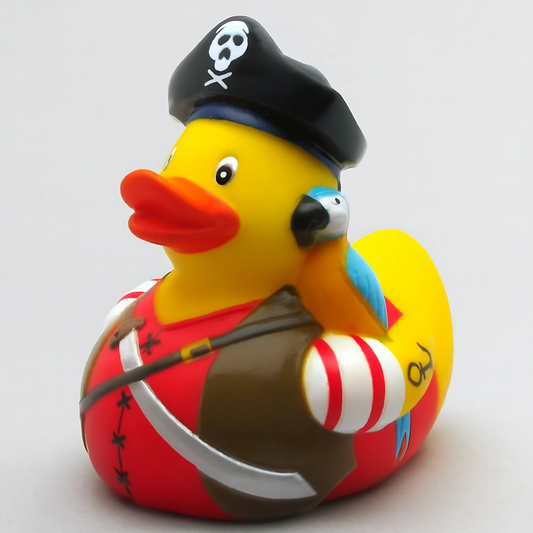 Pirate with Parrot Duck