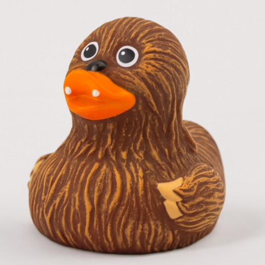 Whooping Duck