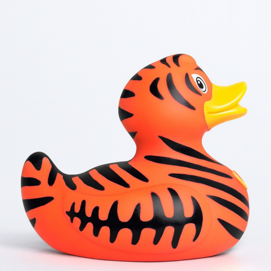 Wild Tiger Duck