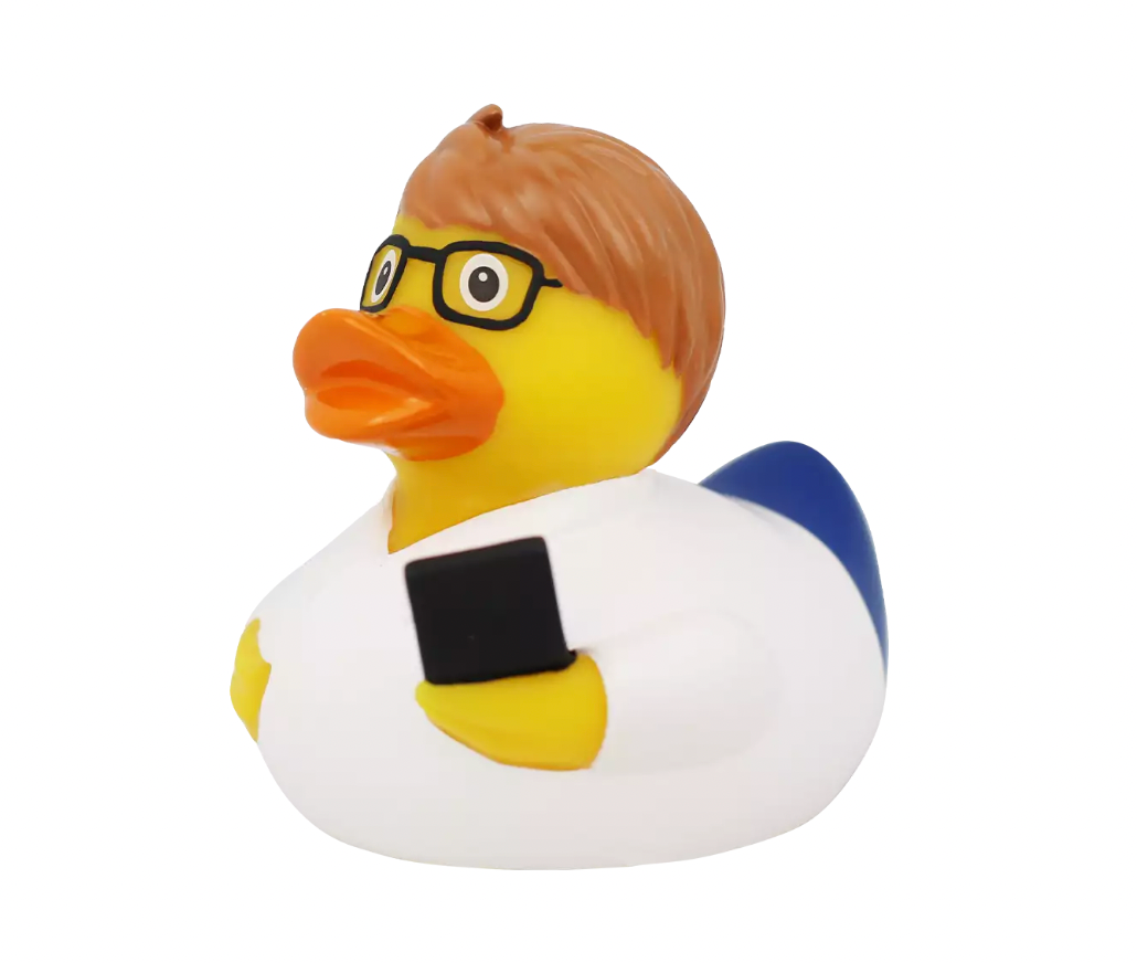 IT Developer Rubber Duck Limited