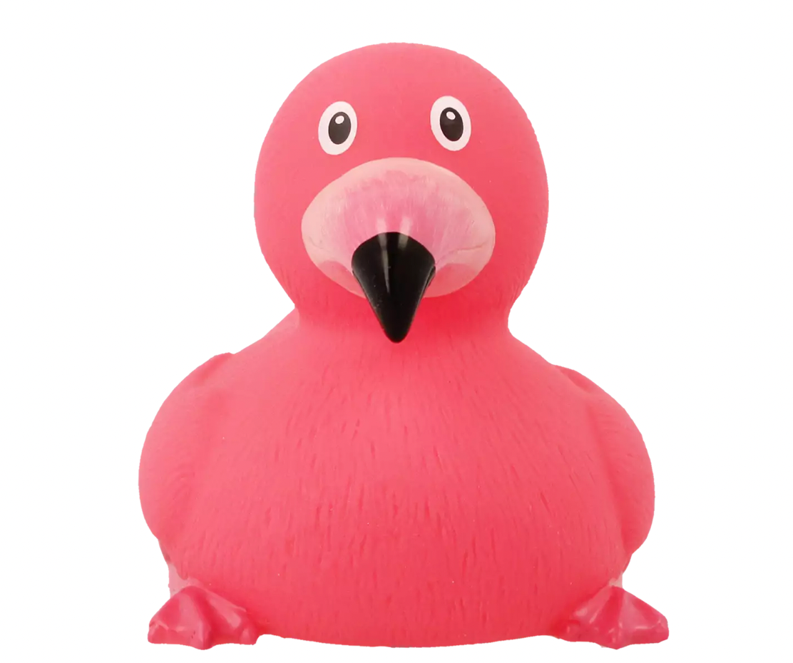 Flamingo Rubber Duck Front View