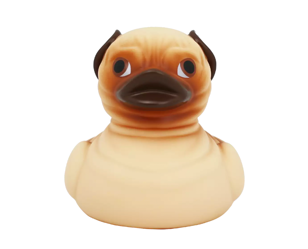 Pug Rubber Duckie Front View