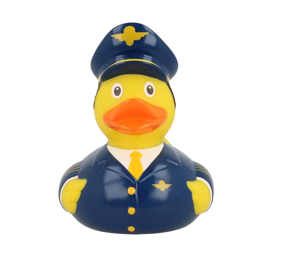 Pilot Duck