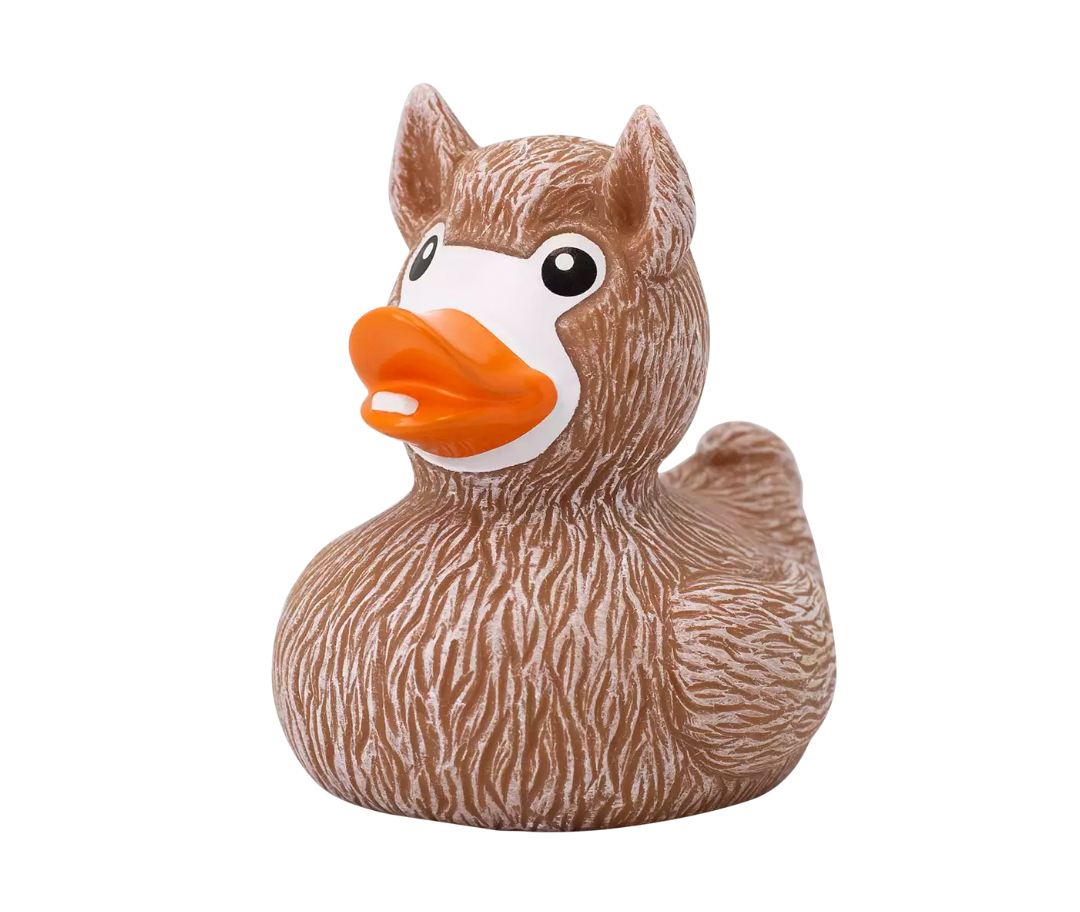 Llama Duck