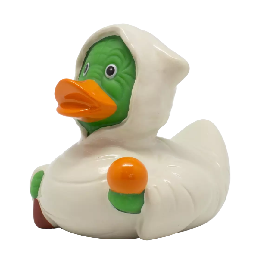 Galactic Sage Duck