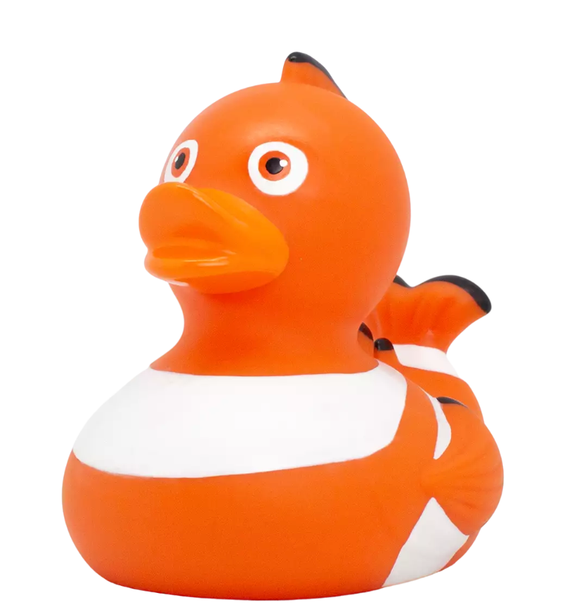 Clown Fish Duck